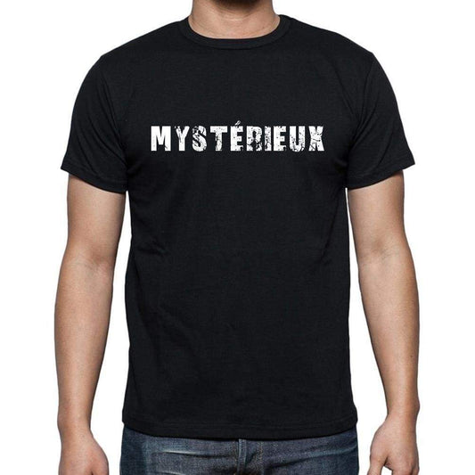 Mystérieux French Dictionary Mens Short Sleeve Round Neck T-Shirt 00009 - Casual