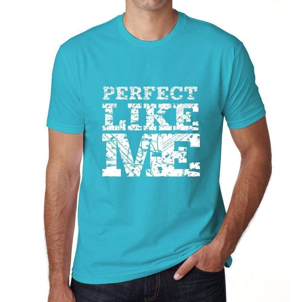 Perfect Like Me Blue Mens Short Sleeve Round Neck T-Shirt - Blue / S - Casual