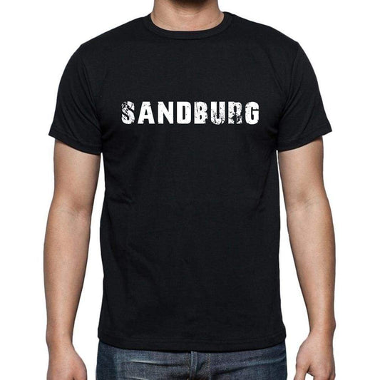 Sandburg Mens Short Sleeve Round Neck T-Shirt - Casual